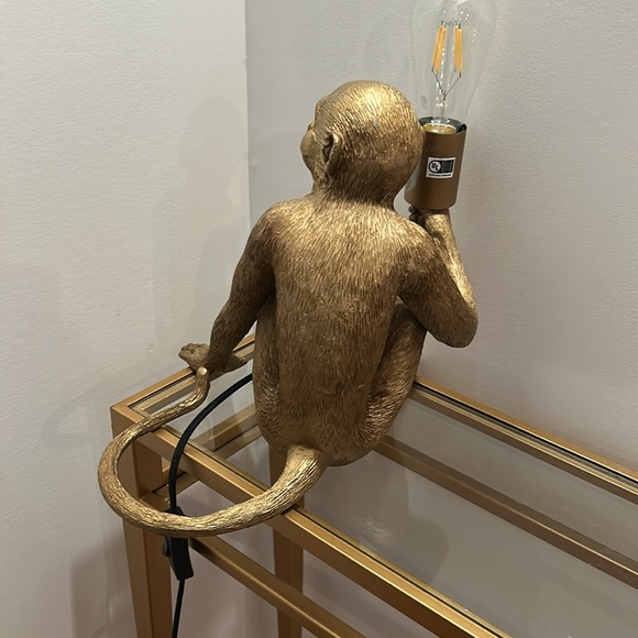 Gold Monkey Light - Picture 8 of 8